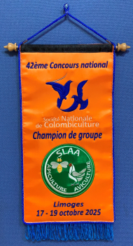 Farbe: HS 10, orange